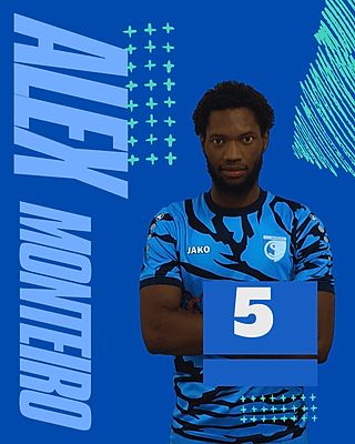 Alexander Michel Andrade Monteiro