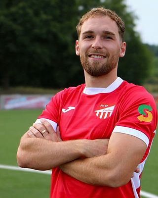 Nico Theisinger