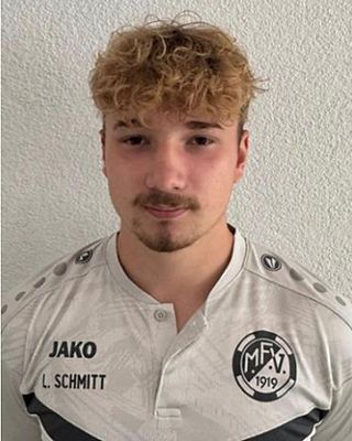 Lion Schmitt