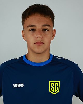 Volodymyr Liudnyi