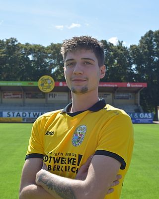 Levin Wahl