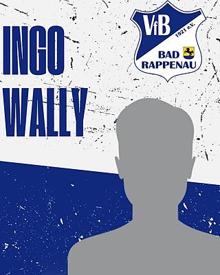 Ingo Wally