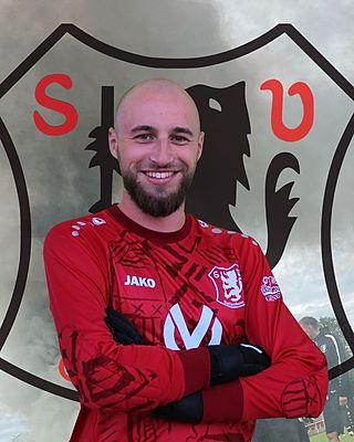 Niklas Saier