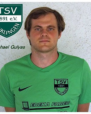 Michael Gulyas