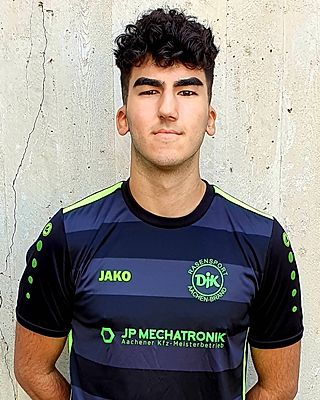 Levin Arikan
