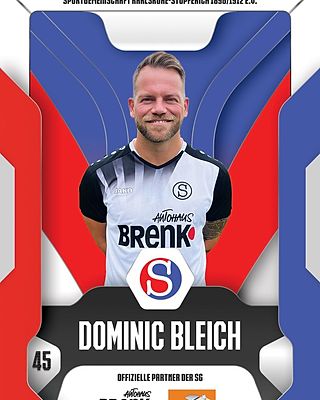 Dominic Bleich