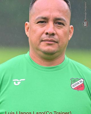 Luis Alberto Llanos Lazo