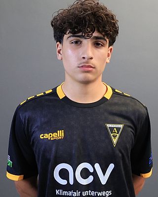 Gennaro Nicolo Hardt
