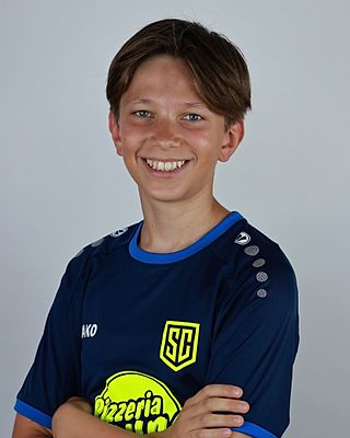 Justus Reinhard Ginzel