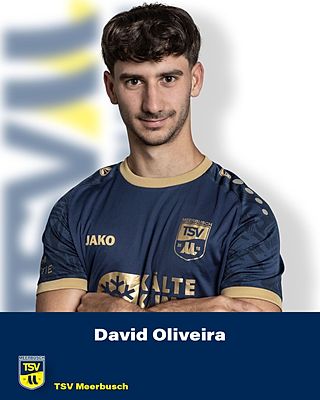 David Alexandre Alves  Oliveira