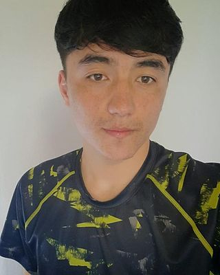 Meysam Husseini