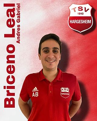 Andres Gabriel Briceno Leal