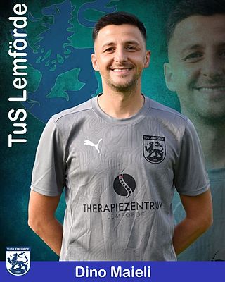 Dino Maieli