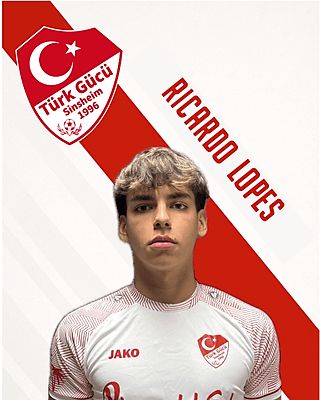 Ricardo Figueiredo Lopes