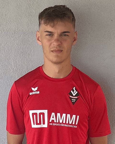 Dominique Felix Michael Osterkamp