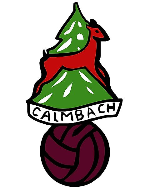 Foto: 1. FC Calmbach
