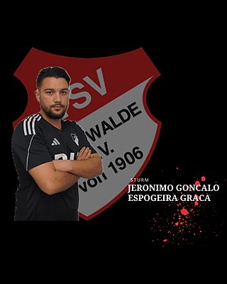 Jeronimo Goncalo Espogeira Graca