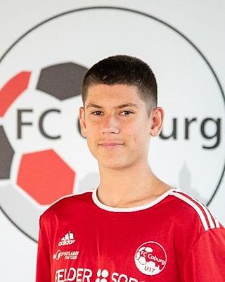 Leon Dubovoy