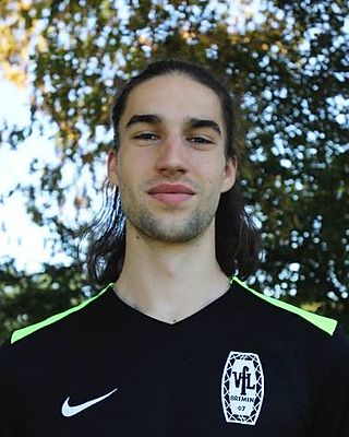 Levin Nicolai Schweiger