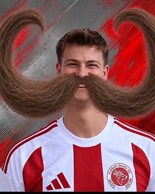 Manuel Diener