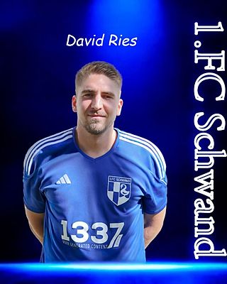 David Ries