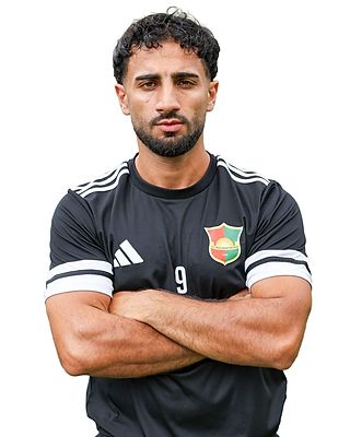 Hakan Cevirme