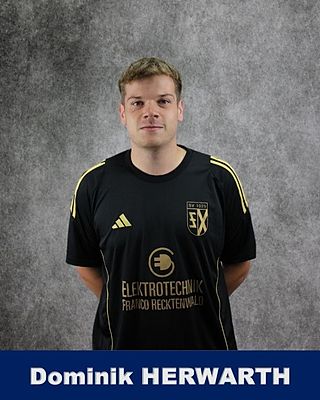 Dominik Herwarth