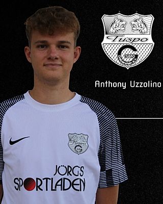 Anthony Uzzolino