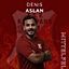Denis Aslan