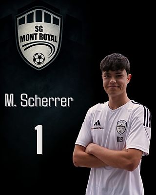 Max Scherrer