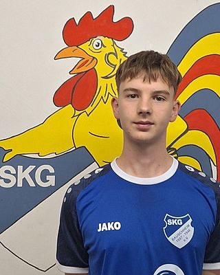 Stefan Krallinger