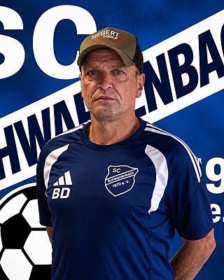 Dominik Beer