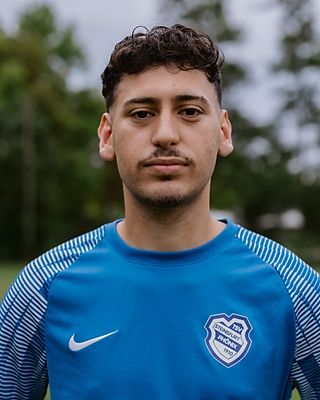 Musa Gök