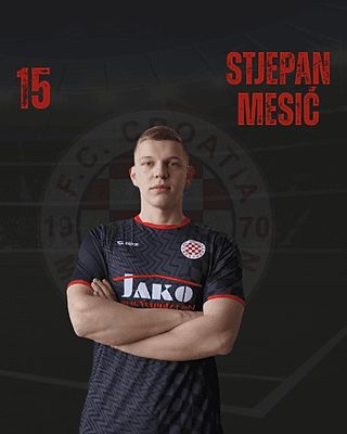Stjepan Mesic