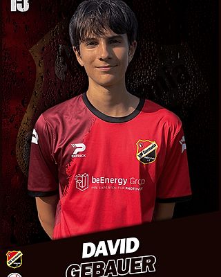 David Gebauer