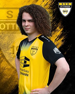 Julian Schwerdt