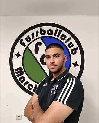 Ali Koubah