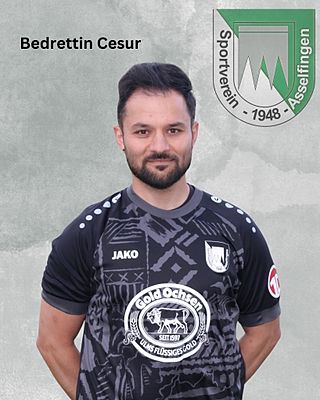 Bedrettin Cesur