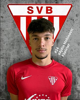Ajdin Mehinovic