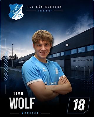 Timo Wolf