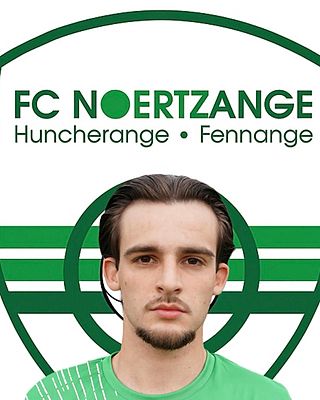 Tiago Alves de Sousa