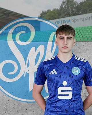 Maxim Sergeev