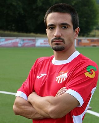 Giorgi Tkemaladze