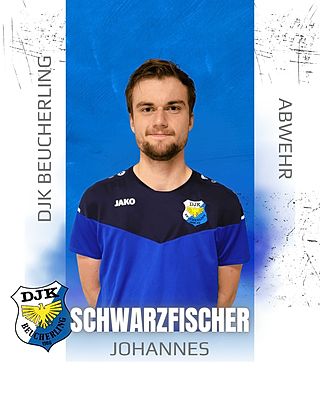 Johannes Schwarzfischer