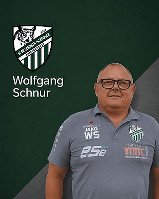 Wolfgang Schnur
