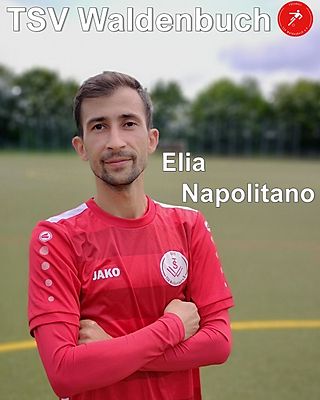 Elia Napolitano