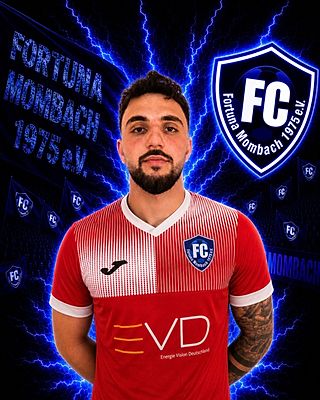Ali Fallah