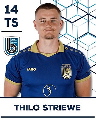 Thilo Striewe