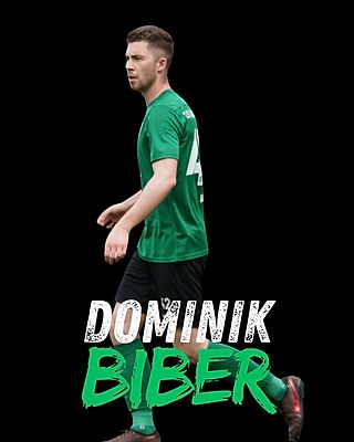 Dominik Biber