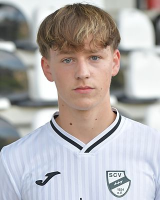 Domenik Ille